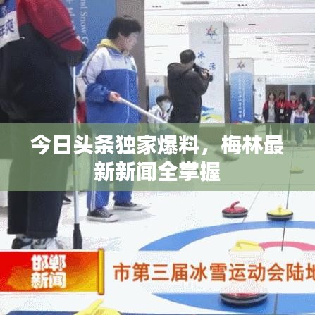资质荣誉 第7页
