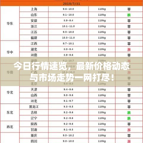合作案例 第7页