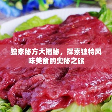 关于我们 第8页