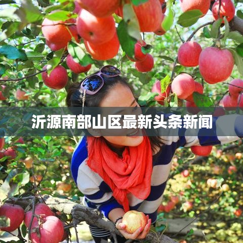 关于我们 第7页