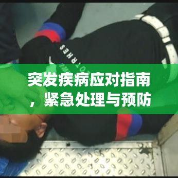 小家碧玉