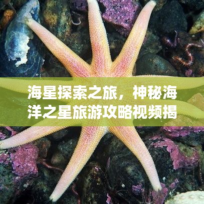 束手就擒