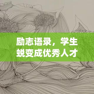 励志语录，学生蜕变成优秀人才的秘诀！