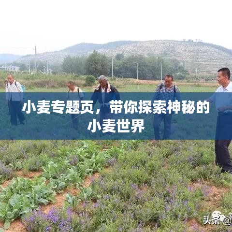冰清玉洁
