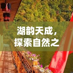 美式台球桌 第4页