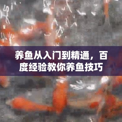 云屯鸟散