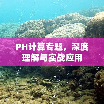 矢志不渝