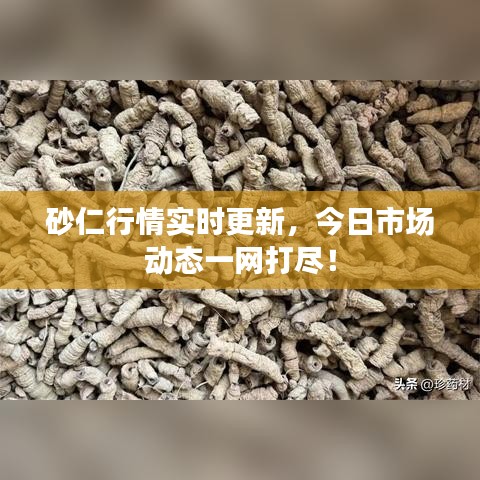 雅人清致