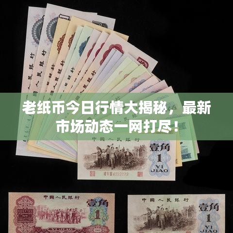 老纸币今日行情大揭秘，最新市场动态一网打尽！