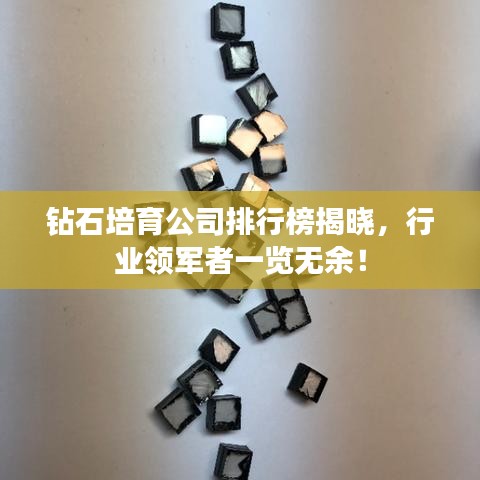 2025年5月12日 第2页