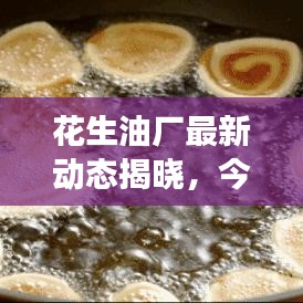 2025年5月13日 第2页