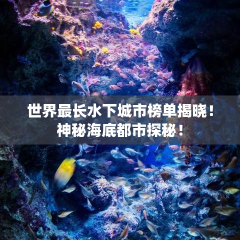 世界最长水下城市榜单揭晓！神秘海底都市探秘！