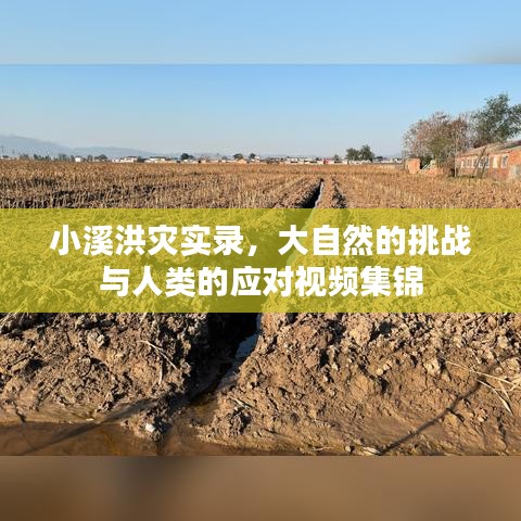 小溪洪灾实录，大自然的挑战与人类的应对视频集锦