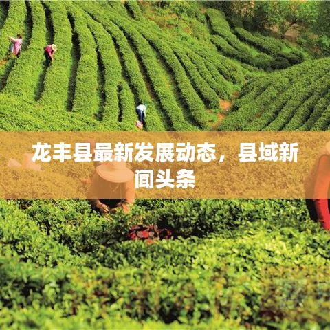 龙丰县最新发展动态，县域新闻头条