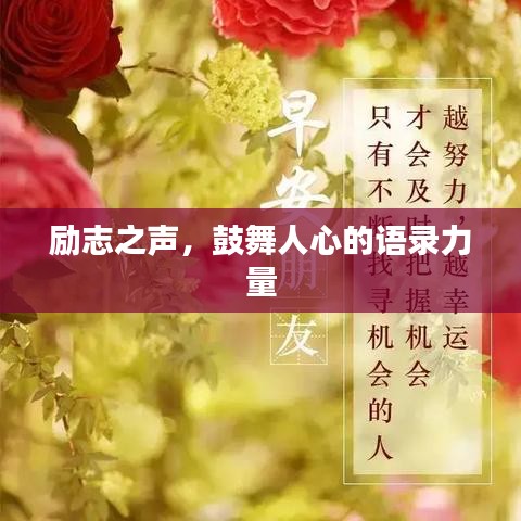 2025年6月11日