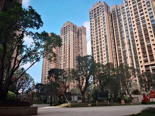 美国iphone版本,状况评估解析说明-kit_v7.892