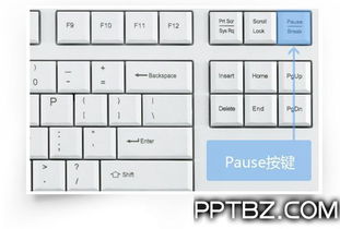 金山打字精灵官方下载,定性解读说明&Executive_v3.748