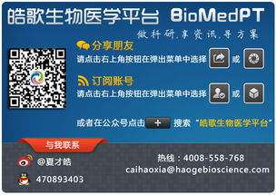 神话激活码跟阿虎医学官方下载,快速设计解答计划&超值版1_v9.385