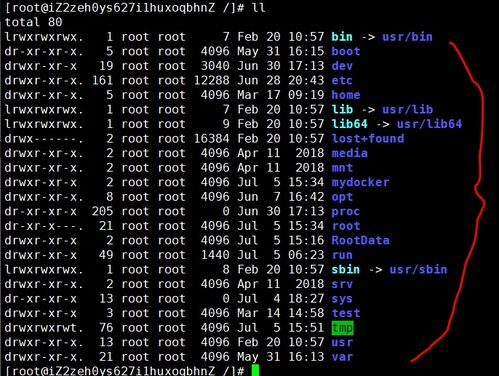 2026年1月10日 第13页