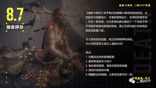 网络安全顾问眼中的安全软件,帕斯卡手游与异界战神激活码统计研究解释定义VE版_v9.984深度解析