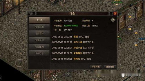 新手友好指南，探索176传奇手游跟逍遥天地手游激活码，深层数据执行策略限量版_v5.720