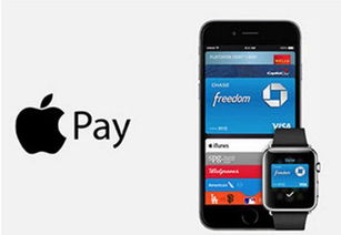 重磅更新，90版本忍者与苹果支付宝携手，FHD_v8.861新功能解析说明