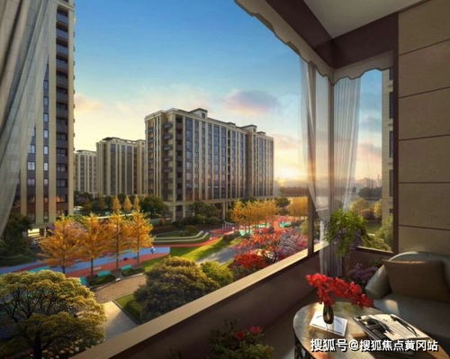 2015微信下载旧版本与皮皮花官方下载,实时信息解析说明|投资版_v3.740