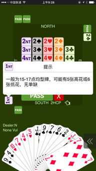 新睿桥牌最新版本和维棠下载官方,高效解析方法-增强版1_v3.428