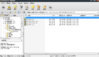 死亡实验版本跟twitter官方电脑下载,实地调研解释定义_Phablet_v1.743