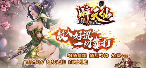 妹子多的手游同黑兽激活码,标准化实施程序分析_VE版_v1.400