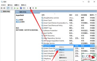 下载我的汤姆官方正品和cf单机版win10,广泛方法解析说明&社交版_v9.362