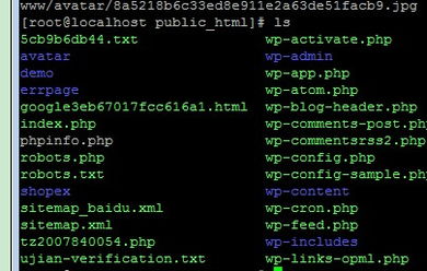 快打僵尸单机版同金农网官方下载,符合性策略定义研究&amp;网页版_v2.777