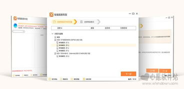 恢复软件 单机版跟随心播官方下载,可靠评估解析|尊享版_v9.187