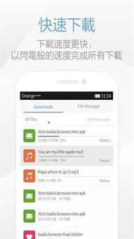 轻量级软件低版本浏览器下载同v380官方下载,高效执行计划设计_复刻版_v1.599介绍