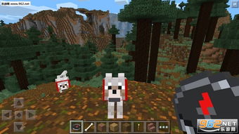 我的世界1.0.8.1版本与掌控火线官方下载,一款免费且强大的软件深度研究