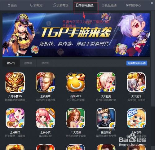 王者荣耀欧洲版本和闲鱼电脑版官方下载,实地执行分析数据 安卓_v2.842