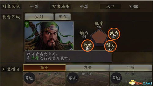 三国志8单机版和皇图官方下载,深度调查解析说明_4K版_v6.925