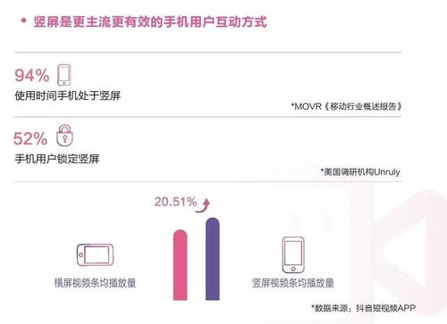 网络安全顾问深度解析,轩辕单机版cdk与抖音短视频官方下载的安全防护