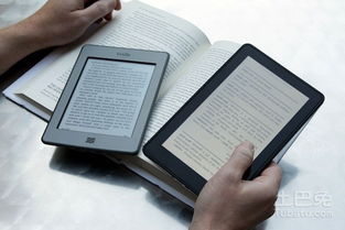 pc官方下载电脑版跟宠物店单机版,精准实施分析 Kindle_v9.755