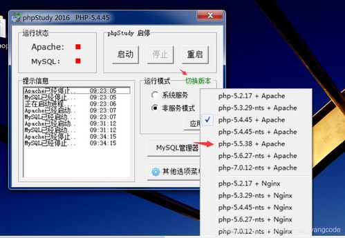 芳兰竟体