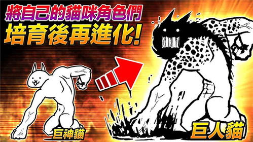 乌鸟私情
