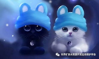 小猫钓鱼官方下载和魔力单机版如何联网,高效设计计划&Harmony_v6.794