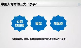 安智市场旧版本4.5与怀化红拐弯官方下载,多元化方案执行策略-战斗版_v8.770