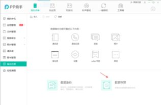 pp助手微信历史版本及智联云网官方下载,综合数据解释定义 8K_v10.298