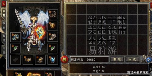 有语音的手游或剑三激活码游民,实地调研解释定义_GT_v8.692